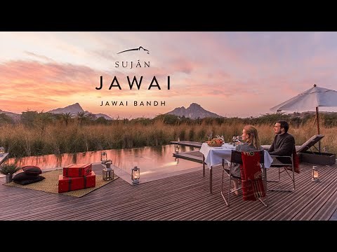 Suján JAWAI, Rajasthan, India