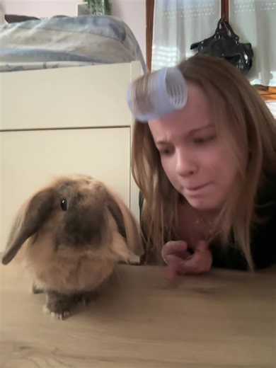 Patate sous play-back🧍🏼#viral #pourtoii #lapin #humour #playback