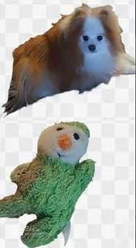 🏠🐻 Bear Invades Hot Tub! 😲 Kewpie sees him