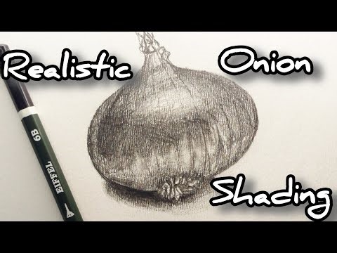 Shading lesson 2 | how to draw a realistic onion | draw onion as a pro | onion drawing easy|