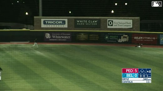 Jacob Jenkins-Cowart's amazing catch