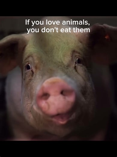 The Uncomfortable Truth About Animal Rights
