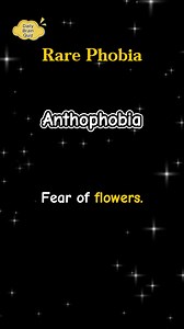 Daily Brain Quiz on Reels