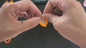 12 Pcs Plastic Key Tags with Labels and Ring Window, Single Color for Luggage, Pet ID, USB Drive (1 Color)