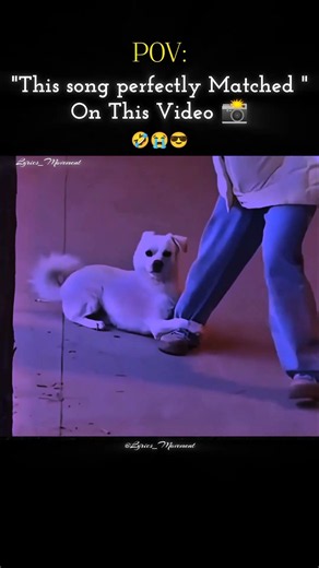 Tu Man Meri jaan 🤣🤌|funny status 🤭|song perfectly matched |Asthetic status 🎀|#funny #viral #lyrics