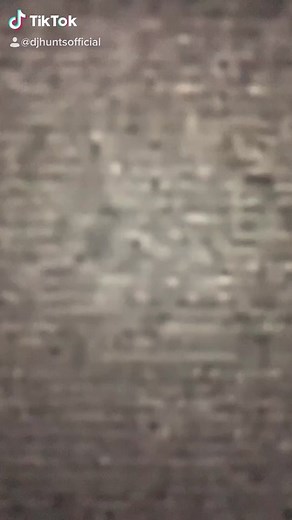 A COW PRETENDING TO BE A MAN #asdf #funny #comedy #SuperlativeSmiles #skateboards #lipsync #facialexpressions #stepintolove #muffintime #funnyvideos