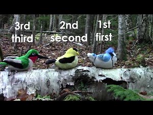 Grade 1: Math Lesson #11 Ordinal Numbers; First, Second, Third, Last, and Between