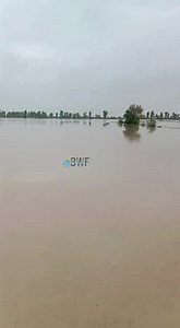 472K views · 10K reactions | Flood in sibi سبی ھار آماچ اِنت سبی میں شدید سیلاب سبی ءِ تھسیل لہڑی ءَ بھمبھور ءُ تارتانی ءِ کوھانی آپ میتگاں پُترتگ۔ سبی ءِ دمگ تریھڑ،تازی،کنڈی واہ،ٹیھڑی برھمانی،اللّٰہ واہ گھرامزہی، چہ ھار ءَ سک اسرمند اَنت۔ 14/8/2022 #BWF | Balochistan Weather Forecast | Facebook