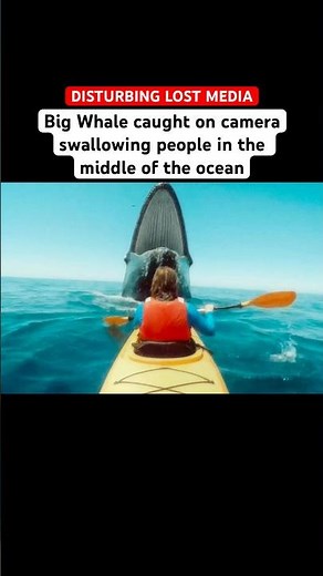 Whale swallowing human CAUGHT on camera