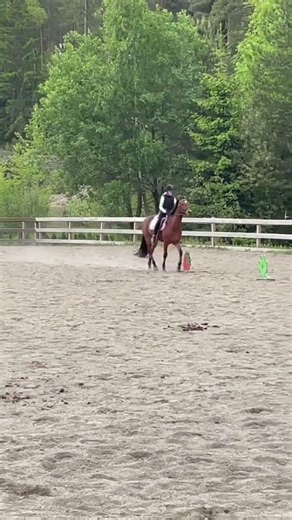 Old vid, but definitely my fav lesson on echo!❤️ #haveitoldyoulatelythatiloveyou #love #equestrian