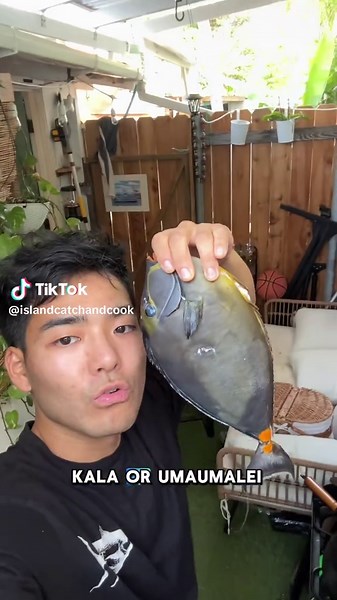 Kala vs Chinese Kala Taste Test: A Flavor Exploration