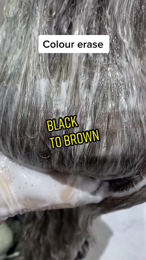 Transforming Black to Brown Hair with Matrix Color Eraser | Hair Tutorial