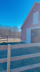 Thank you to our friend Christie for helping with barn chores yesterday, giving the ponies some loving attention, and making this fabulous video of Sophia Spirit starting her day! | Field of Dreams Therapy Farm, LLC