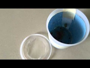 Basic Setups for Swallowtail Pupae