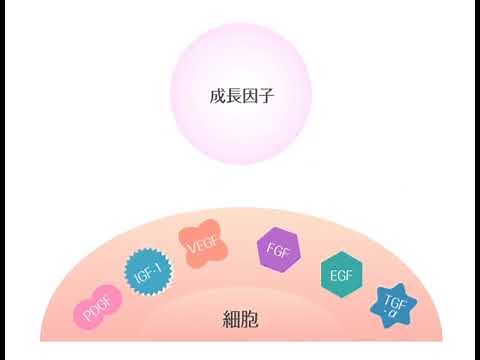 レセプター（受容体）にリガンドとなる物質が結びついて活性化するイメージ #Shorts