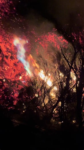 🔥 Quando la lava incontra la vegetazione Nel momento in cui la colata lavica entra in contatto con la vegetazione, si sviluppano colorazioni particolari delle fiamme. Questi colori sono dovuti principalmente alla materia organica della pianta, alla combustione dei composti contenuti nei tessuti vegetali (come la clorofilla e altri elementi chimici), che reagiscono alle altissime temperature generate dalla lava. 🌳 In questo caso la colata ha investito alcuni alberi che, con grande difficoltà, c