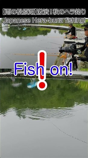 【ヘラブナ釣り】今度は上顎ばっちり！待望の1枚をキャッチ！ / Perfect Hookset! 🎣