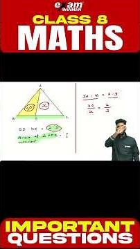 Triangle Division | Important Question | Class 8