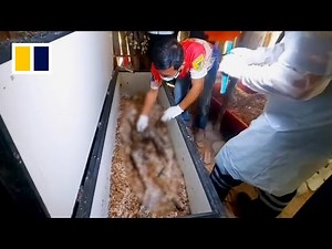 Black magic cult corpse rituals investigated in Thailand