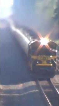 Erie Heritage Unit Meets CSX Freight Train part one