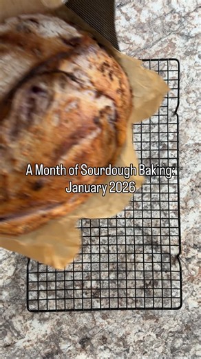 So fun to look back at everything I baked this month (idea from my friend @giasbatch 🤍). January somehow flew by and dragged on at the same time, but seeing all the recipes I tested for the blog feels like the perfect way to wrap it up. Some are already live, and a few are still in the works. Which one would you try first? 🤤 | Everyday Homemade