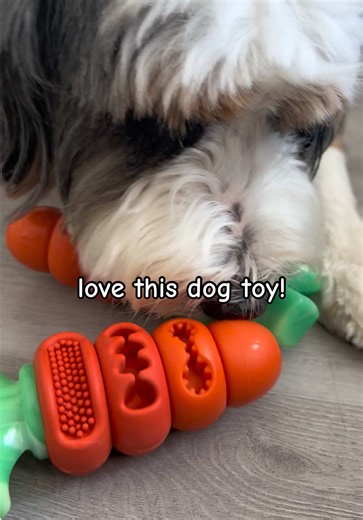 Indestructible Dog Toy Review: Durable Chew Toy That Lasts