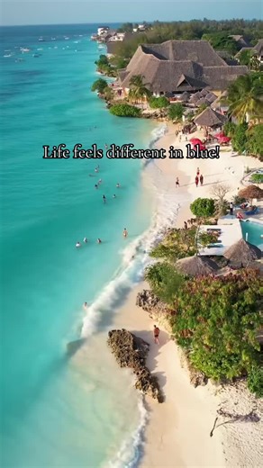 Explore the Beauty of Zanzibar: A Travel Experience