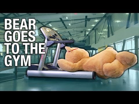 Giant Teddy Bear Goes To The Gym