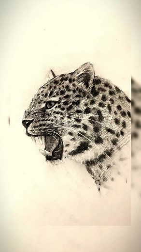 Step-by-Step Leopard Drawing Tutorial with Pencil | Easy Art Guide