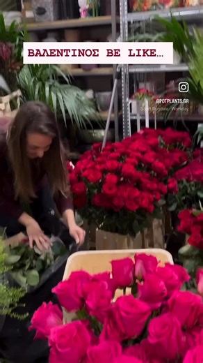 Pot Plants Center on Instagram: "Πανέτοιμοι για τη μεγάλη γιορτή του έρωτα! #potplants #κορωπι #αγιαμαρινα #άνθη #τριανταφυλλα"
