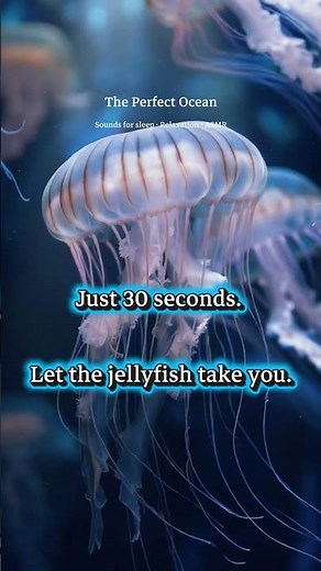 Glowing Jellyfish • 8 Hour Sleep Test #shorts #deepsleep #underwater