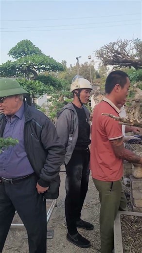 Focus on beautifying the very old green artwork.