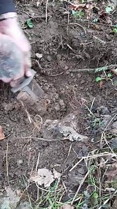 Ritrovamento Baionetta Italiana del “Carcano 91” Prima Guerra Mondiale. In esposizione nel nella casa del soldato 🇮🇹🗡 | Simone Coccia La Casa Del Soldato