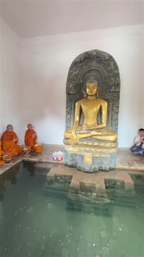 19K views · 3.6K reactions | "Buddhist monks in India share the knowledge of liberation with laypeople here." | InnerDhamma | Facebook