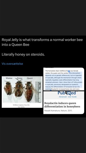 Transforming Worker Bees into Queens with Royal Jelly