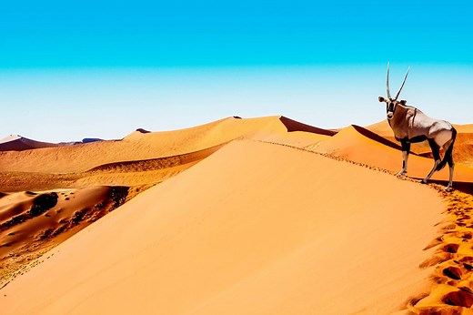 Beste Reisezeit Namibia 2026 - Klima, Wetter, Trocken- und Regenzeit