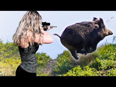 What's REALLY Behind Louisiana's WILD PIG INVASION?