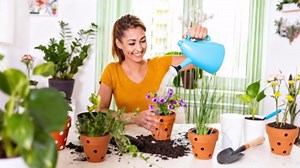 FoldTier 12 Pcs 4 Inch Terracotta Orchid Pot with Drainage Holes Small Clay Plant Flower Terracotta Pots Orchid Planter for Repotting Indoor Outdoor Garden Succulents Plant Promotes Air Circulation
