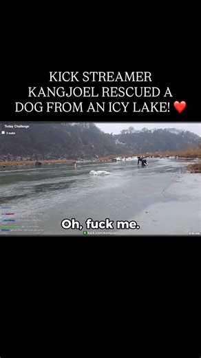 Brad Pitt on Instagram: "Kick streamer KangJoel saved a dog from an icy lake! What an incredibly brave and amazing human! 👏❤️"