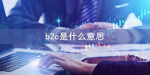 b2c是什么意思-会计网