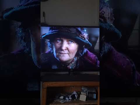 Home Alone 2 (1992) Kevin And Pigeon Lady