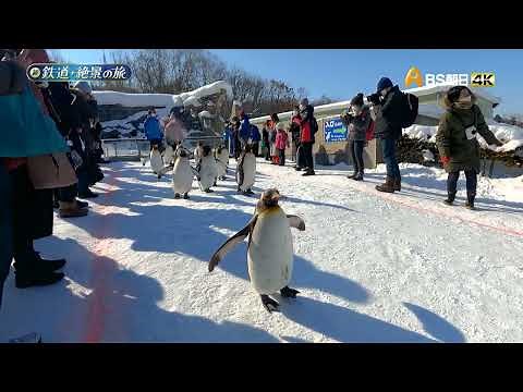 新 鉄道・絶景の旅