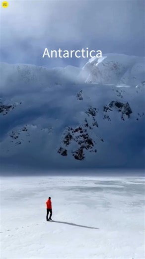 What Happens If You Walk in Antarctica? 😳😱 #shorts