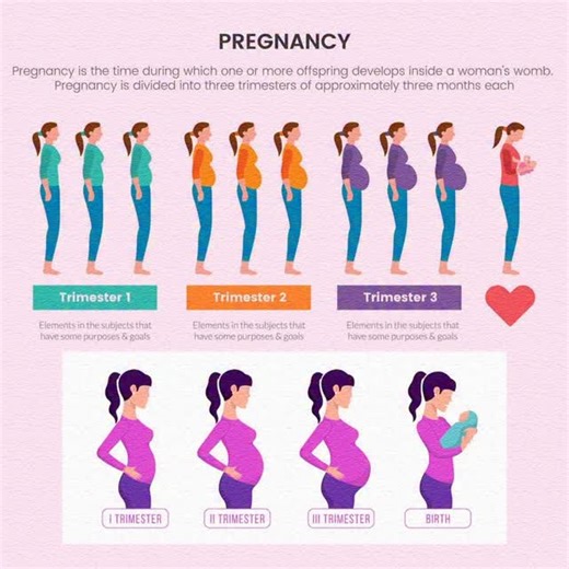 PREGNANCY TIPS FOR MOM-TO-BE 🤰🌷 🔹 Eat Balanced Meals – Fruits, veggies, protein 🔹 Stay Hydrated – Drink plenty of water 🔹 Prenatal Vitamins – Take as prescribed 🔹 Light Exercise – Walking or stretching 🔹 Get Enough Rest – Sleep & relax often 🔹 Regular Checkups – Never skip doctor visits 🔹 Avoid Stress – Keep calm and positive 💛 A healthy mom = a healthy baby #pregnancytips #healthypregnancy #momandbaby #motherhood #prenatalcare #expectingmom #babybump #pregnancyjourney #wellness #selfc