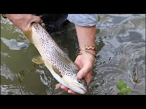 Skwala RS Wader Review - Kelly Galloup's Favorite Waders