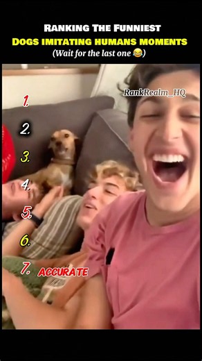 Ranking the funniest dogs imitating humans moments 🤣 #viral #funny #blowup #funnymoments