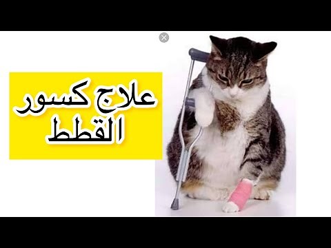 علاج كسور القطط 💔 ميشا وقعت من الشباك والحمدلله قدرت اعالجها ♥️