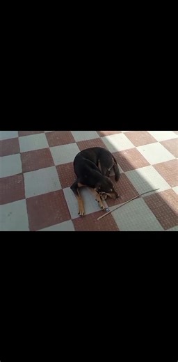 Truth N Trends on Reels