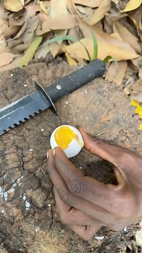 1.8M views · 8.1K reactions | Amazing Lifehack With Egg: Cooking egg using egg #lifehacks #outdoors #outdoors #lifehack #skills #bushcraft #camping | Joseph Mandiya | Facebook