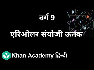 Areolar Connective Tissue [Hindi] | Tissues | 9th | Biology | Khan Academy